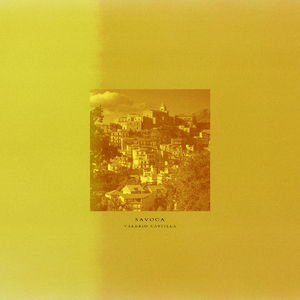 深夜yello想要草
